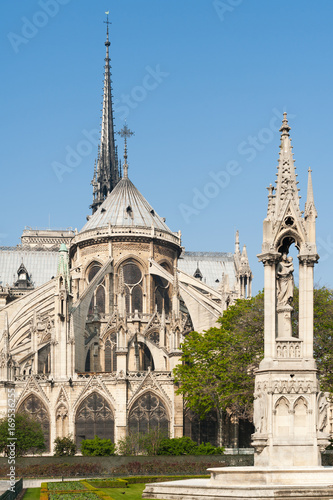 Notre-Dame de Paris cathedral from the gardens on a sunny day, paris, France © LP2Studio