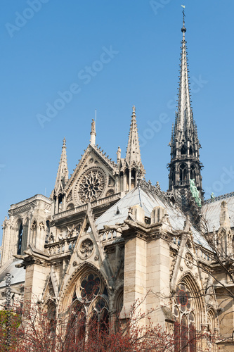 Notre-Dame de Paris cathedral detail from the gardens, Paris, France © LP2Studio
