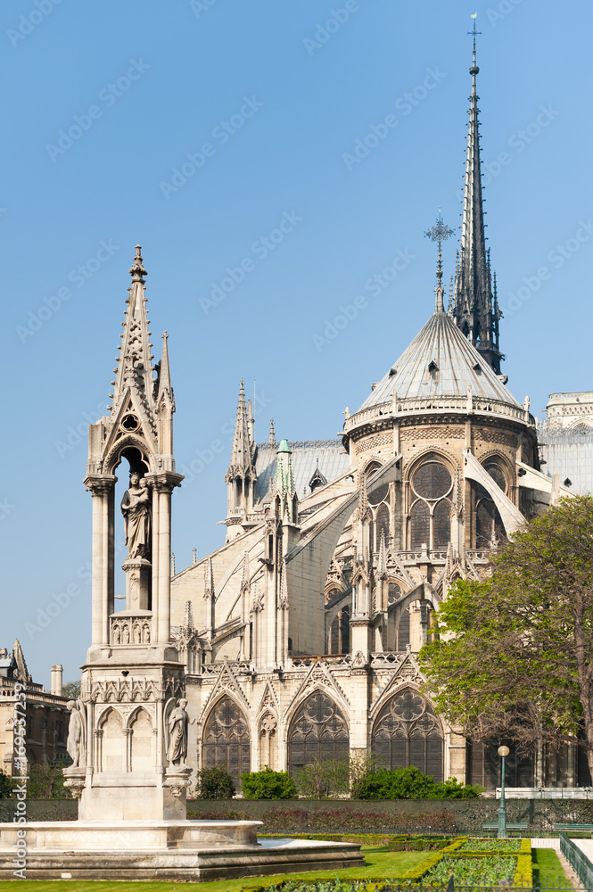 Notre-Dame de Paris cathedral from the gardens on a sunny day, Paris, France