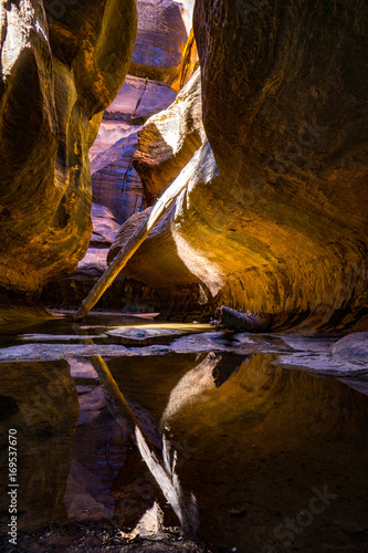 Zion National Park 2017