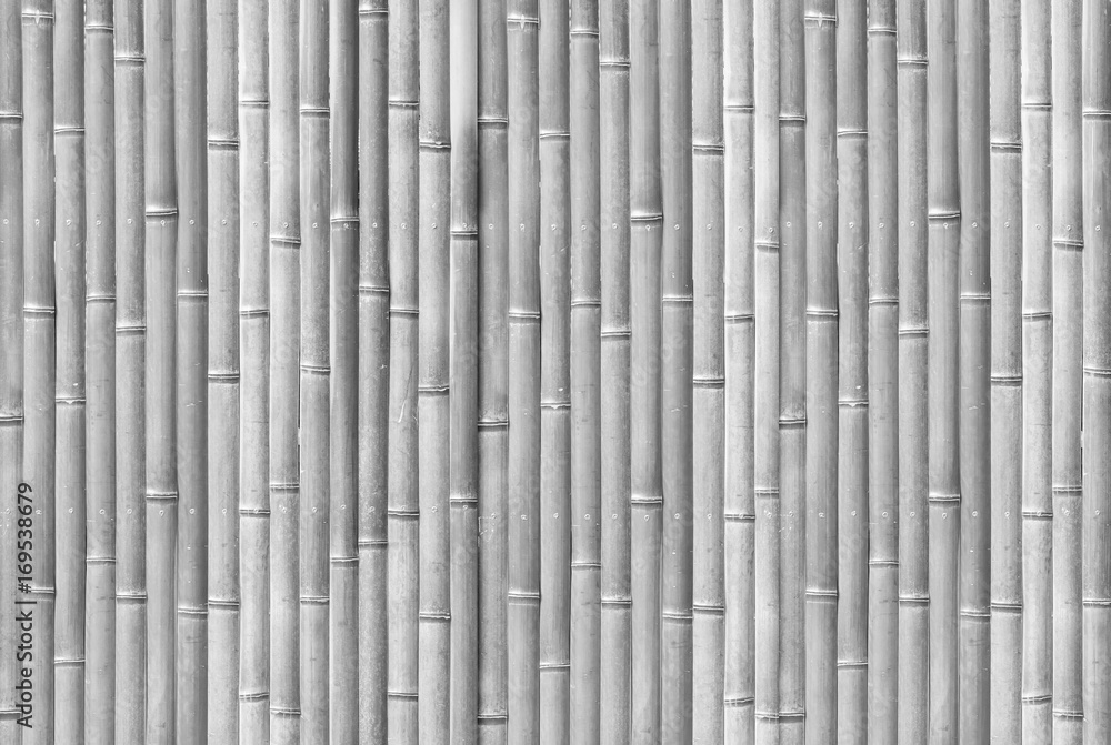 White bamboo fence pattern and seamless background White bamboo fence pattern and seamless background