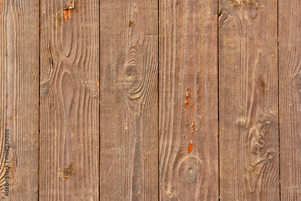 Fototapeta premium Wood texture