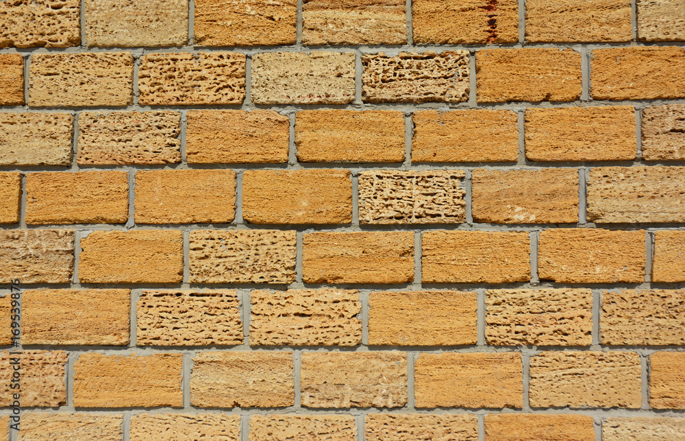 Fototapeta premium Coquina or Shelly Limestone Wall Textured Background.