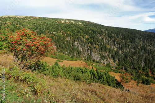 Panoramatic view of meadows and forests in Czech Switzerland