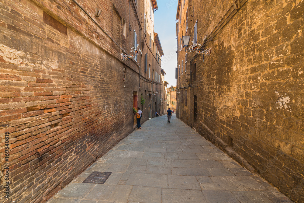 Obraz premium narrow street of Siena