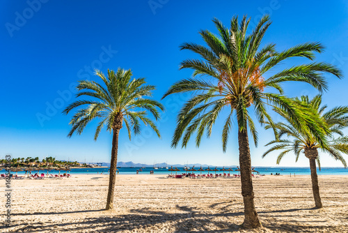 Mallorca Platja de Alcudia Strand Sand Palmen, Spanien Mittelmeer
