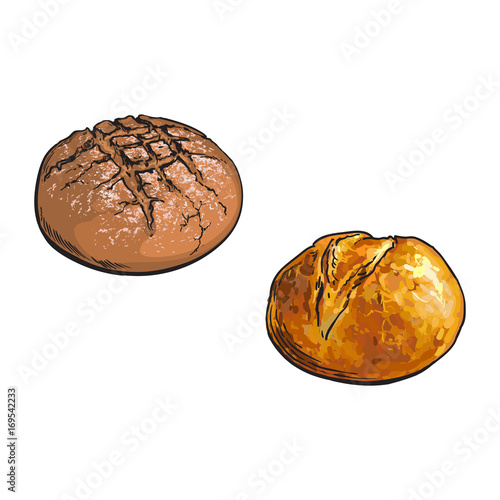 vector sketch fresh round dark brown, white rye bread loaves set. Detailed hand drawn isolated illustration on a white background. Flour pastry products, bakery banner, poster design object