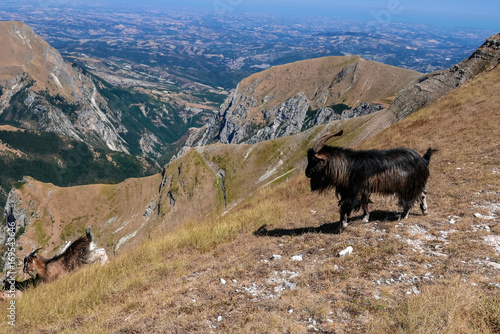 Sibilla Mountain Landscape photo