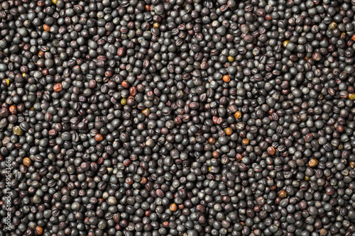 Macro rape seeds texture photo