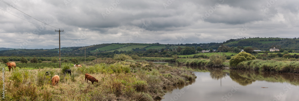 Rural Ireland river panorama farmland