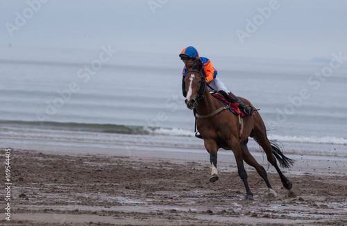 Galloping race horse on the beach