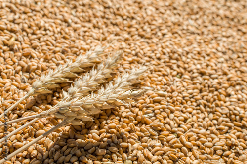 grain and wheat flakes background
