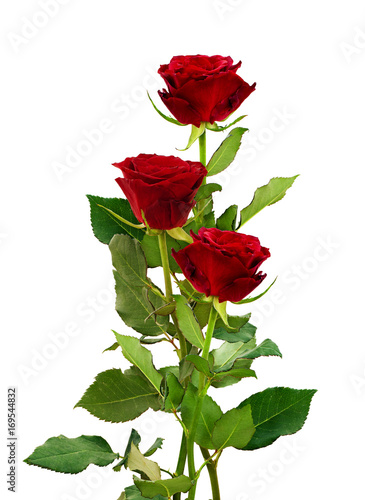 Romantic bouquet of three red rose flowers