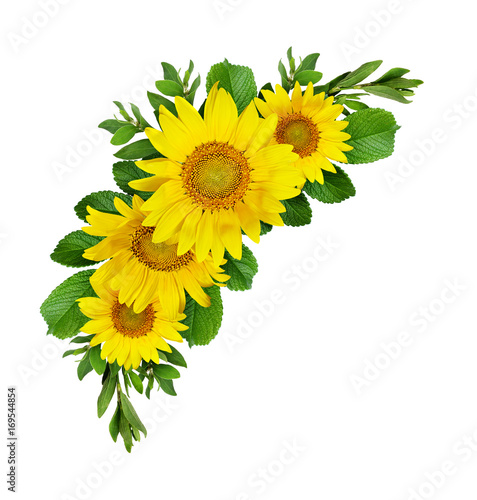 Fototapeta Naklejka Na Ścianę i Meble -  Yellow sunflowers wave composition