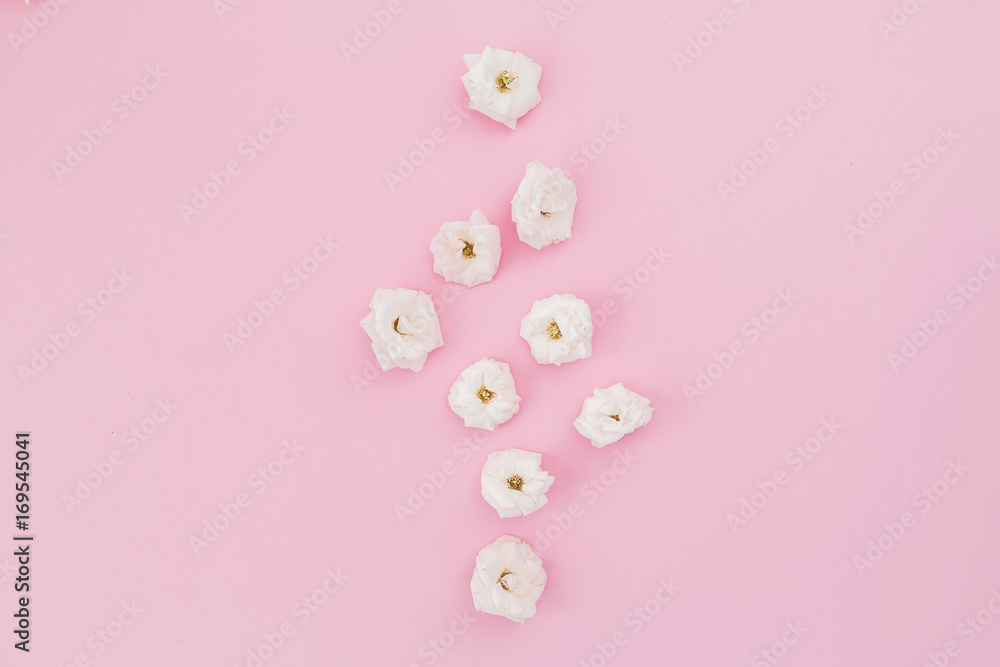 White roses flowers arrangement on pink background. Flat lay, top view. Floral background. White roses flowers arrangement on pink background. Flat lay, top view. Floral background.