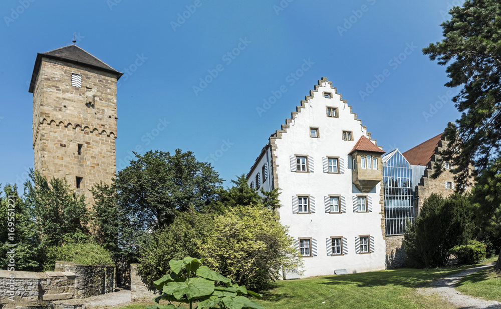 castle in Neckarsbrunn with old tower castle in Neckarsbrunn with old tower