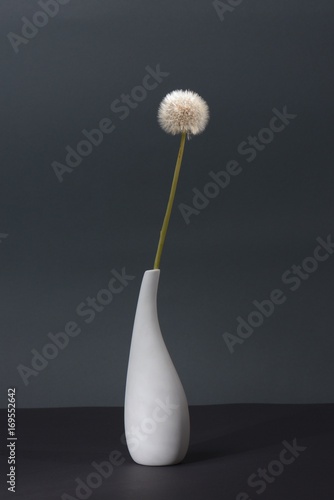Fototapeta Naklejka Na Ścianę i Meble -  Pusteblume in weißer Vase