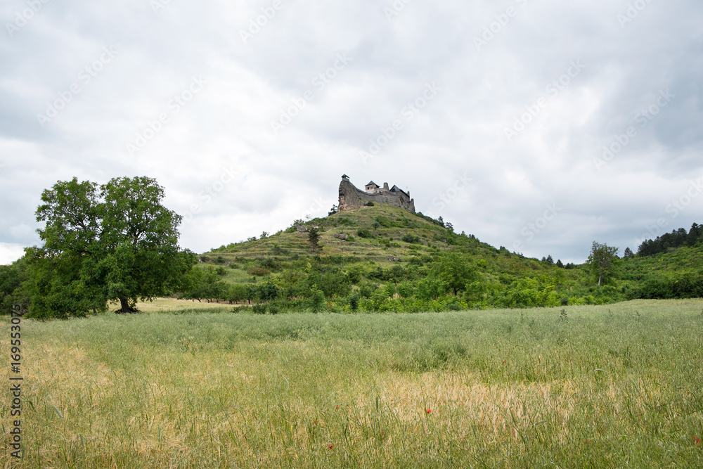 Castle of Boldogko on hilltop, Hungary