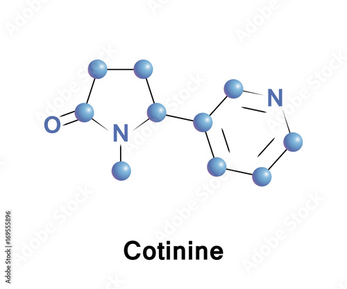 Cotinine alkaloid tobacco