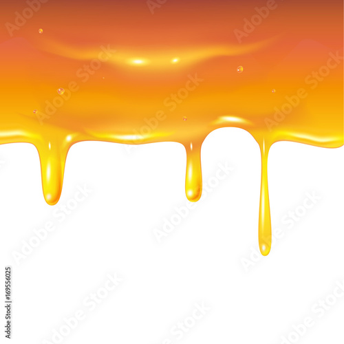 Honey border, Gold Honey dripping. Bee honey splash drops on white. Realistic 3D Vector illustration template. Honey background.