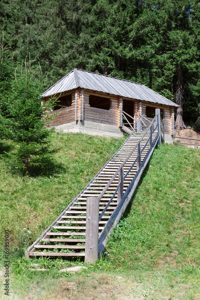 Wooden Stairs to Wooden Hut in a Forest Wooden Stairs to Wooden Hut in a Forest