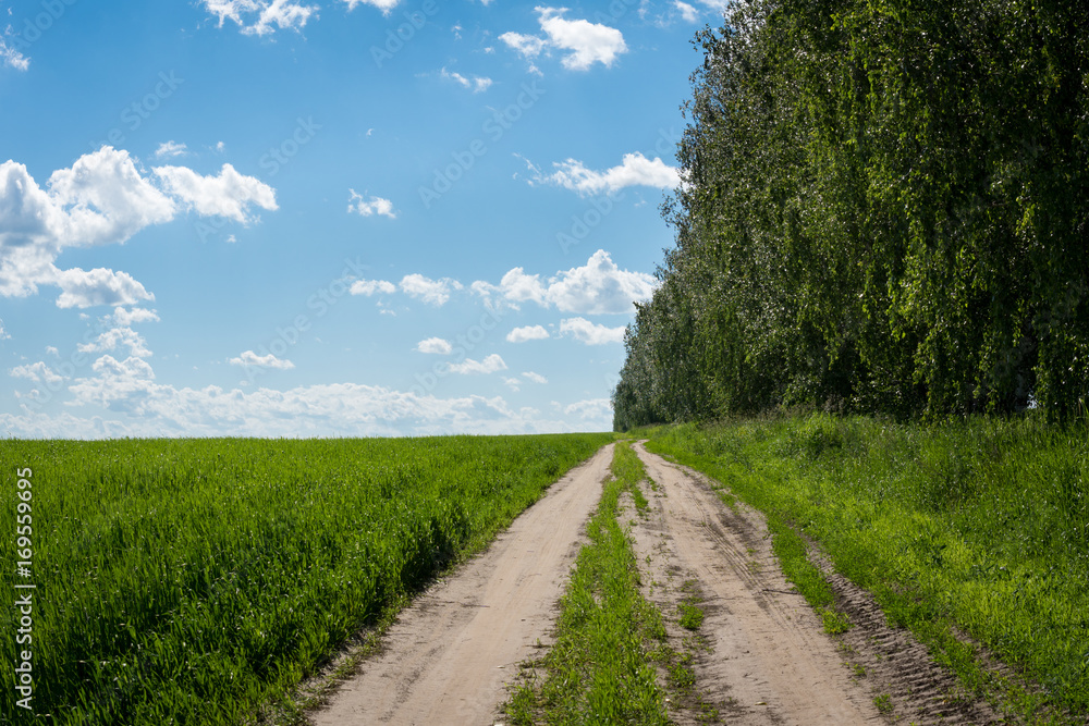 country road on the border between field and forest on background of blue sky with clouds