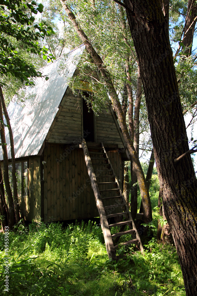 A lonely house standing in the backwoods of a forest.. A lonely house standing in the backwoods of a forest..
