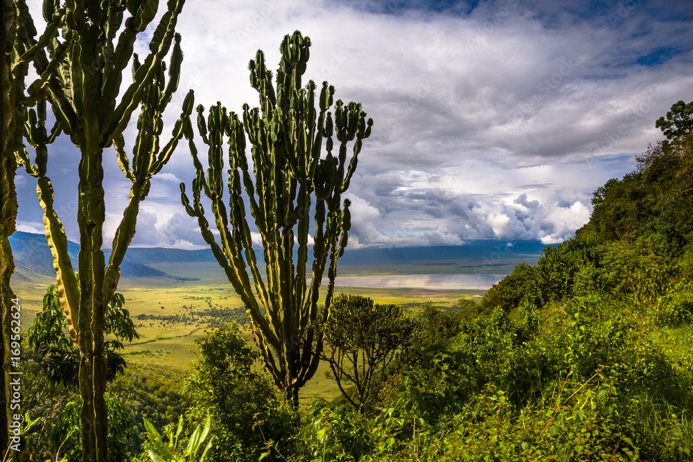 Fototapeta premium Landscape in The Ngorongoro Crater - Tanzania