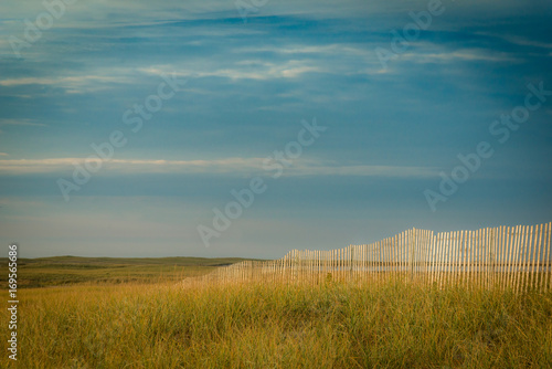 Wallpaper Mural Coastal scene with weathered fence and beach grass Torontodigital.ca