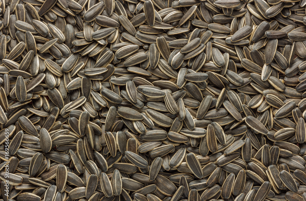 Organic sunflower seed for texture or background. Organic sunflower seed for texture or background.
