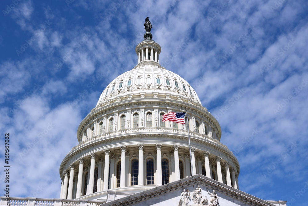 Fototapeta premium National Capitol in Washington DC