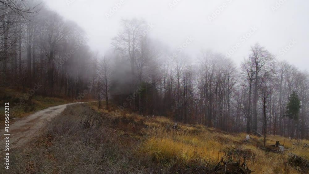 Autumn comes. The wind brings mist in the mountains. Autumn comes. The wind brings mist in the mountains.