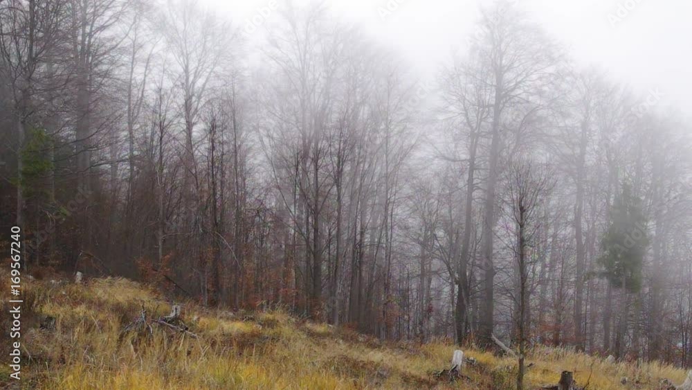 Autumn comes. The wind brings mist in the mountains. Autumn comes. The wind brings mist in the mountains.