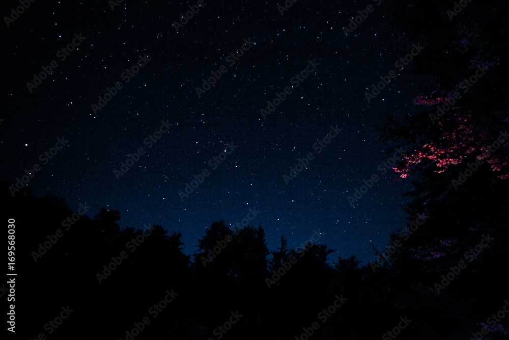 Naklejka premium Stars in the sky