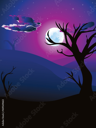 African Night Landscape