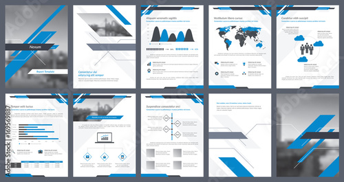 Elements of infographics for report template and presentations templates. Corporate annual report, leaflet, book cover design, brochure and flyer template design. Vector Illustration. 