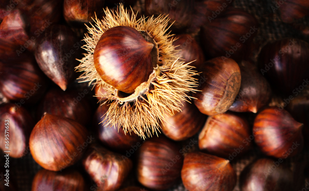 Ripe chestnuts on old wooden table and sack napkin close up with copy space. Raw Chestnuts for Christmas. Ripe chestnuts on old wooden table and sack napkin close up with copy space. Raw Chestnuts for Christmas.