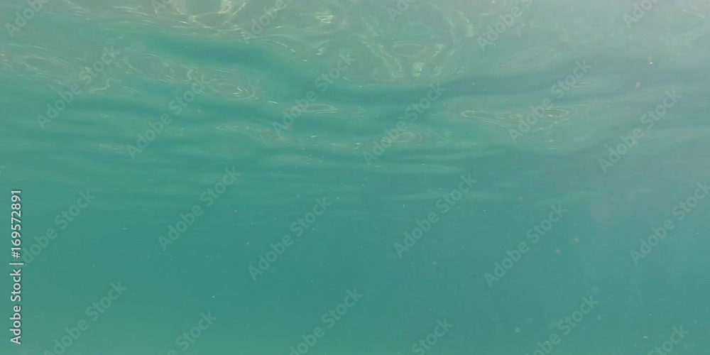 Sott'acqua, sfondo con mare verde Sott'acqua, sfondo con mare verde