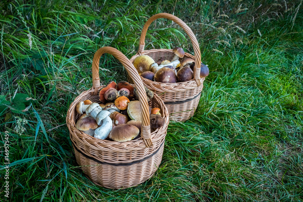 Pair wicker baskets with mushrooms Pair wicker baskets with mushrooms