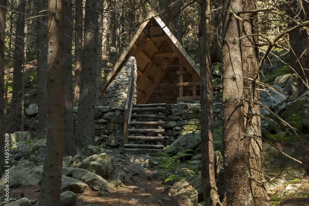 Sunlit coniferous forest, shelter and glade in Rila mountain, Bulgaria, Europe Sunlit coniferous forest, shelter and glade in Rila mountain, Bulgaria, Europe