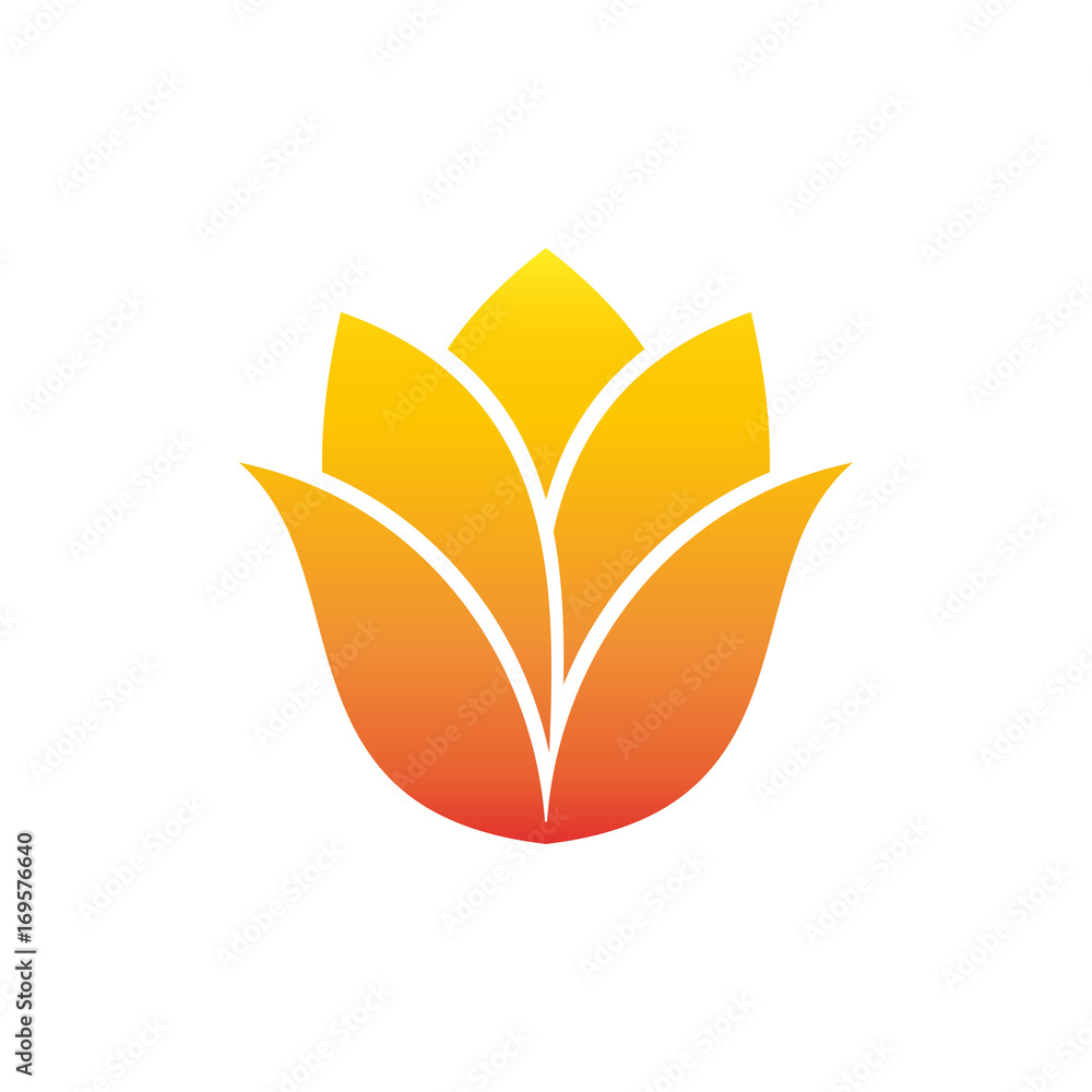 tulip flower vector Stock Vector | Adobe Stock