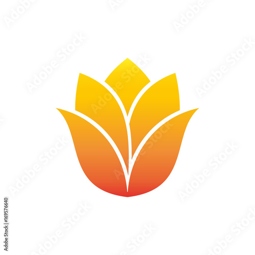 tulip flower vector