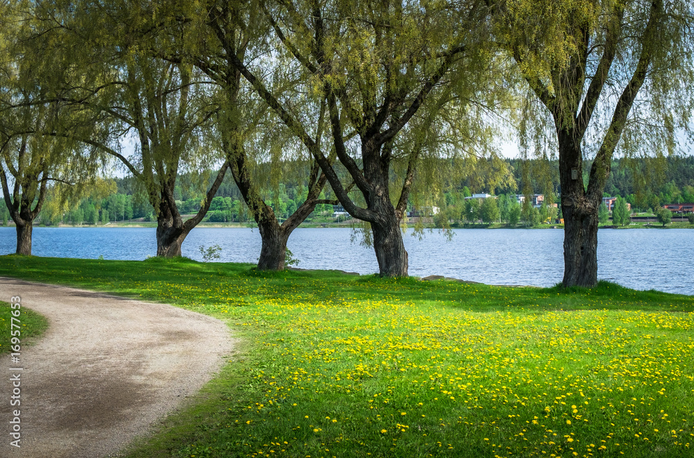 A path by the river with green trees in Hämeenlinna, Finland