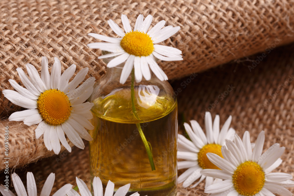 chamomile essential oil on the rustic background from the sackcloth chamomile essential oil on the rustic background from the sackcloth