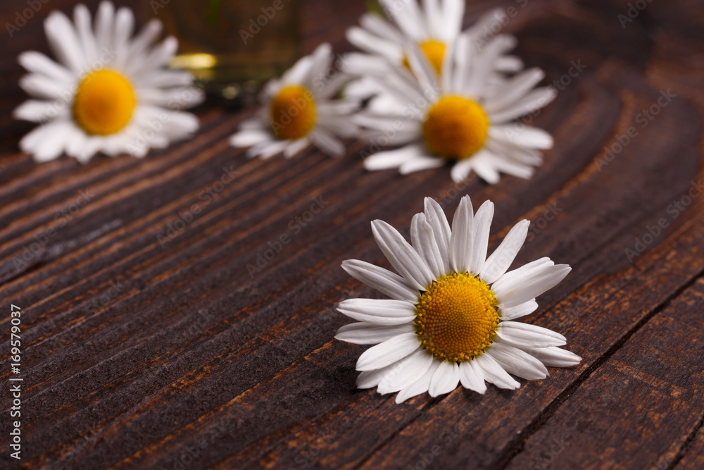 Fototapeta premium Chamomile essential oil on a dark wooden background