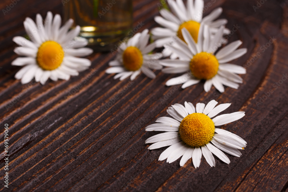 Obraz premium Chamomile essential oil on a dark wooden background