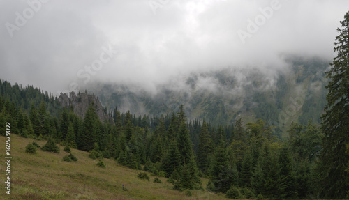 Fototapeta Naklejka Na Ścianę i Meble -  nebelalp