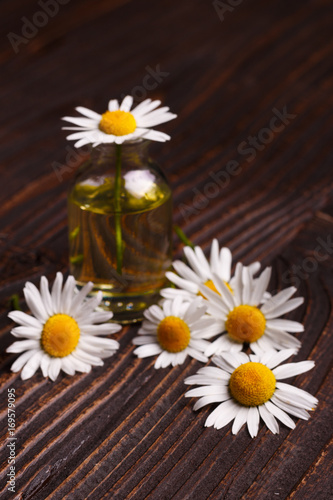 Chamomile essential oil on a dark wooden background © Narsil