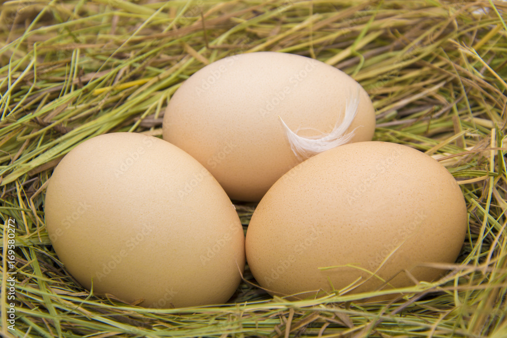 Hen eggs in straw ,fresh farmer's egg. Hen eggs in straw ,fresh farmer's egg.