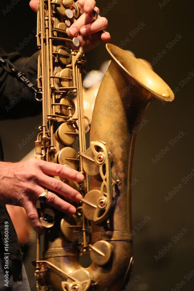Fototapeta premium saxo